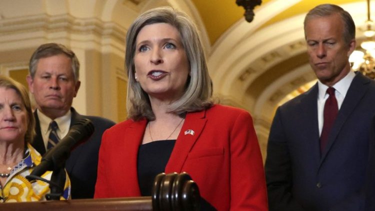 EXCLUSIVE: Senate bill targets Minnesota-style ‘runaway fraud’ to force scammers to repay taxpayers