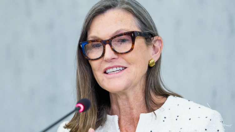 Cathie Wood Adds $13.9 Million in Circle Shares Despite…
