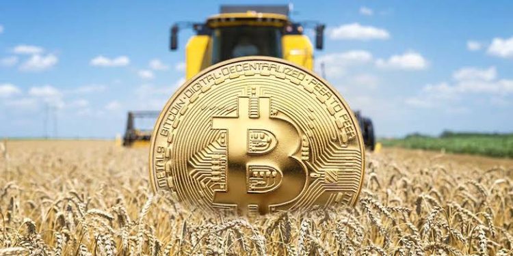 Former LASD Deputy Gets 18 Months in Crypto Mogul…