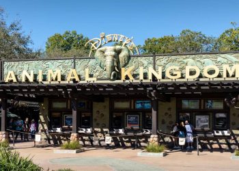 Popular Disney World ride shut down with no explanation