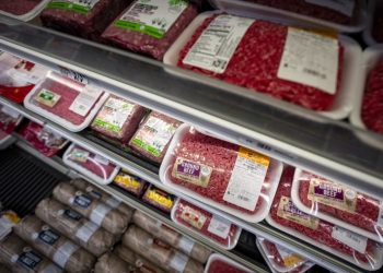 GOP lawmakers criticize Trump’s beef import plan amid blowback from ranchers