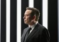 Tesla TSLA stock prediction: $500 bull vs $250 bear