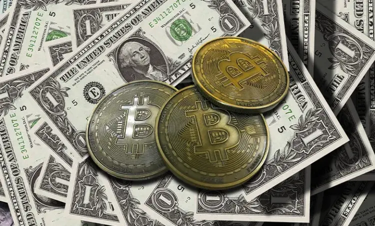 What Crypto Is Actually Building While Prices Rise