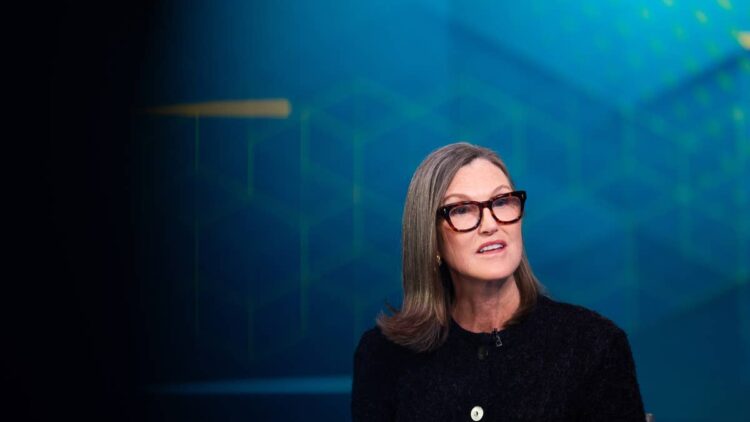 Cathie Wood buys $9.1 million of tumbling tech stock