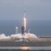 SpaceX revenue up 161% to $14.6 billion